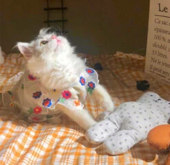 Flower Embroidery Cat Dress -A Great Coffee Shop 1.10 93047c2d c293 4e1f 8765 df759f6fa93f