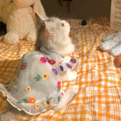 Flower Embroidery Cat Dress -A Great Coffee Shop 1.4 dbb3f72d 2350 44ba 9cb0 f0d6207d440a