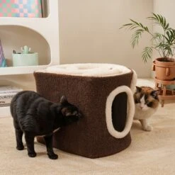 Choco Swiss Roll Cat Cave -A Great Coffee Shop 10 49f9bb2f bbf3 43b1 8dbe 8f61e7f9c177