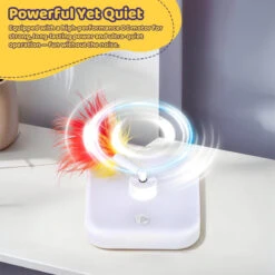 Smart Cat Teaser Box -A Great Coffee Shop 10 9fa4c7d1 3d0d 4201 8777 f5a242b0bb21