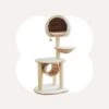 Bird Nest Cat Tree -A Great Coffee Shop 10 Bird Nest Cat Tree 9ba7c1d8 2be1 43da b8d4 b1879ab52994