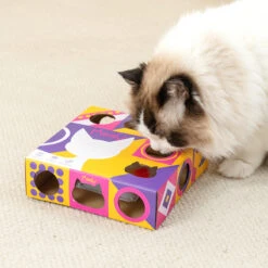 Smart Cat Teaser Box -A Great Coffee Shop 11 4c6834b6 6e16 47da a71f 2836b01f7518