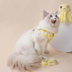 Fruit Series Cat Leashes And Harnesses -A Great Coffee Shop 16 1024x1024 4086f66c 3bfb 414c 9956 efcab0821812