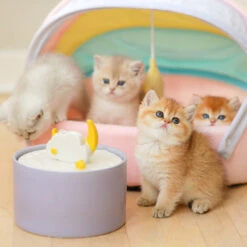 Purple Moonlight Series Set -A Great Coffee Shop 1C7A5145