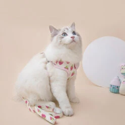 Fruit Series Cat Leashes And Harnesses -A Great Coffee Shop 1 4d302f0e 74d4 41f1 b785 30fb32a3e9b0