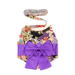 Japanese Style Harnesses With Bow -A Great Coffee Shop 1 5749756a 73ae 42df 8413 5c39fdaf6ab5
