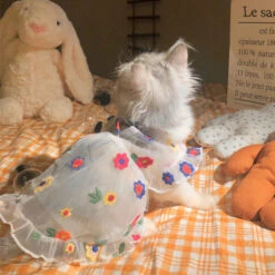 Flower Embroidery Cat Dress -A Great Coffee Shop 1 7af7c516 b480 4a1c a64c 1ce1be8e62d4