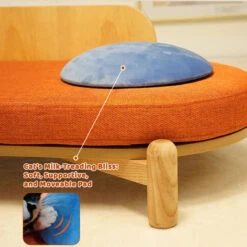 35.9'' Wooden Sunset Cat Couch For Multiple Cats - Stylish Lounge & Play -A Great Coffee Shop 20240108 091130