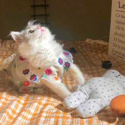 Flower Embroidery Cat Dress -A Great Coffee Shop 2 2841b837 d74c 4666 b991 ab37681ffa6a