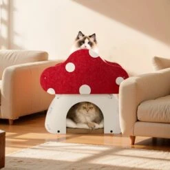 Mushroom Loft – Cat Bed & Scratcher Combo -A Great Coffee Shop 2 2 77e846a2 b49a 4b2e 9d78 9ab32ffe9006