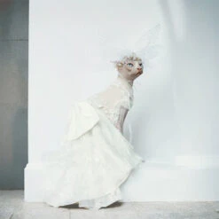 Luxurious Cat Wedding Gown With Train And Veil -A Great Coffee Shop 2 951b7594 ce23 4f9a b9a3 d60761d1ea9d