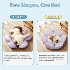 Floral Garden Series Set 34 Floral Garden Series Set -A Great Coffee Shop 2 b8c3a193 2af9 4b7f 81ae bd04e979893b