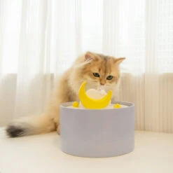 Purple Moonlight Series Set -A Great Coffee Shop 2 e4db2394 2131 4377 8172 6e442ba2b9a2