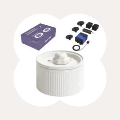 Cloud Cat Water Fountain: Enhanced Filtering For Refreshing Hydration 23 Cloud Cat Water Fountain: Enhanced Filtering For Refreshing Hydration -A Great Coffee Shop 30 203fc192 9174 461f a485 31459b781b1b