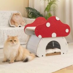 Mushroom Loft – Cat Bed & Scratcher Combo -A Great Coffee Shop 3 3