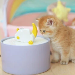 Purple Moonlight Series Set -A Great Coffee Shop 3 883860af f848 48f2 a8f8 03e3ec6c41ea