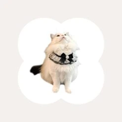 Black Bow Cat Bib -A Great Coffee Shop 3 Black Bow Cat Bib