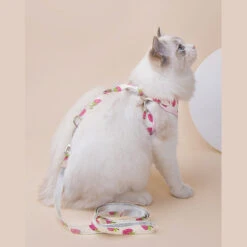 Fruit Series Cat Leashes And Harnesses -A Great Coffee Shop 3 cfc7c855 db04 429a bf12 d62c6472ae79