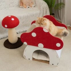 Mushroom Loft – Cat Bed & Scratcher Combo -A Great Coffee Shop 4 4