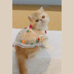 Flower Embroidery Cat Dress -A Great Coffee Shop 5 001db24c 0014 404e ae7d f90c9c8439be