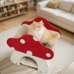 Mushroom Loft – Cat Bed & Scratcher Combo -A Great Coffee Shop 6 6