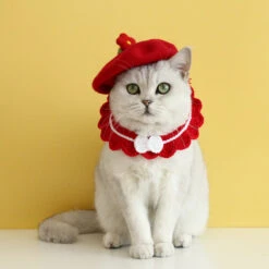 Stylish Floral Cat Beret 16 Stylish Floral Cat Beret -A Great Coffee Shop 7 3816c025 0ff8 44d8 9452 84b9452da6ff