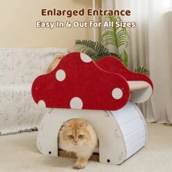Mushroom Loft – Cat Bed & Scratcher Combo -A Great Coffee Shop 7 f1cb406c adf4 49cc a886 6c35f967ed72