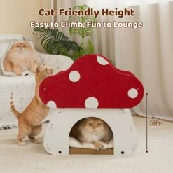 Mushroom Loft – Cat Bed & Scratcher Combo -A Great Coffee Shop 8 47e7890a e61c 4473 b712 523ba8b48bf4