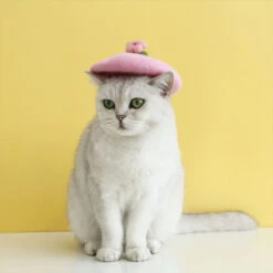 Stylish Floral Cat Beret 17 Stylish Floral Cat Beret -A Great Coffee Shop 8 5546def5 cfb9 47d8 9c6e 8bb873258b0c