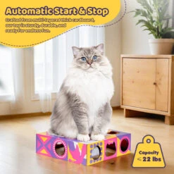 Smart Cat Teaser Box -A Great Coffee Shop 8 854ddd4a 6d61 4699 b2e0 be08281701ea