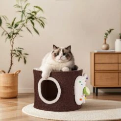 Choco Swiss Roll Cat Cave -A Great Coffee Shop 9 d52a85a2 1a99 4d04 9b09 f9f440cc2c07