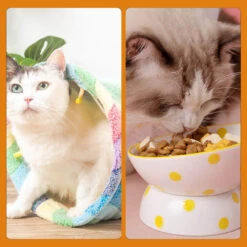 Elves In The Rainbow Cat Tunnel -A Great Coffee Shop CAT TUNNEL