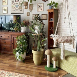 Bohemia Style Cat Hammock -A Great Coffee Shop Cat hammock hanging indoors