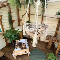Bohemia Style Cat Hammock -A Great Coffee Shop Cat hammock hanging on a balcony