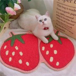 Fruit Series Cat Litter Mat -A Great Coffee Shop O1CN01FjKr3M1FWkfJN89gv 82900495