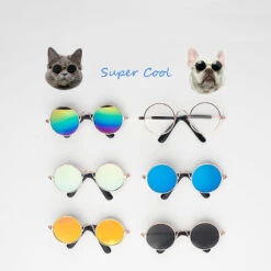 Super Cool Pet Glasses -A Great Coffee Shop O1CN01Ptobdw1JsyHBkV7Vm 3439601085