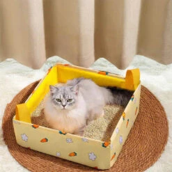 Portable Foldable Cat Litter Box – Perfect For Travel And Easy Cleanup Anywhere -A Great Coffee Shop Portable Foldable Cat Litter Box with cat
