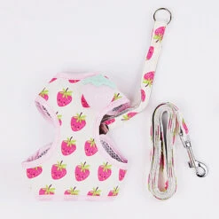 Fruit Series Cat Leashes And Harnesses -A Great Coffee Shop SKU 01 e1d258a0 9965 4c92 a3ab 047af284a864