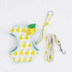 Fruit Series Cat Leashes And Harnesses -A Great Coffee Shop SKU 02 c1f21d62 284c 4c16 9ef5 3798541ab244