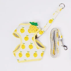 Fruit Series Cat Leashes And Harnesses -A Great Coffee Shop SKU 03 ac5cf362 fee1 44e0 8c45 48e01d09d2c4