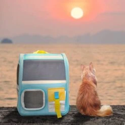 Old School Style Cat Backpack -A Great Coffee Shop Watching the sunset with your cat