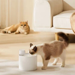 Automatic Cat Water Fountain: Dual Water Modes -A Great Coffee Shop automatic cat waterer