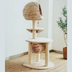 Bird Nest Cat Tree -A Great Coffee Shop bird nest cat tree back view