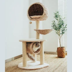 Bird Nest Cat Tree -A Great Coffee Shop bird nest cat tree cat in hammock