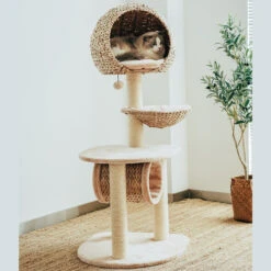 Bird Nest Cat Tree -A Great Coffee Shop bird nest cat tree left side cat in top condo