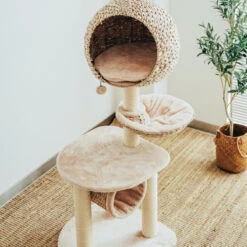 Bird Nest Cat Tree -A Great Coffee Shop bird nest cat tree top view