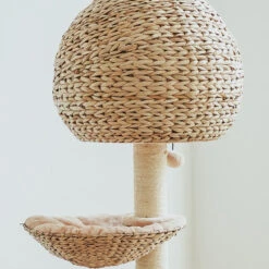 Bird Nest Cat Tree -A Great Coffee Shop bird nest cat tree woven nest detail