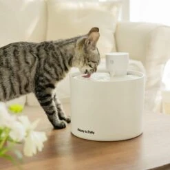 Automatic Cat Water Fountain: Dual Water Modes -A Great Coffee Shop cat water fountain fresh flow