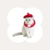 Stylish Floral Cat Beret -A Great Coffee Shop cat hat