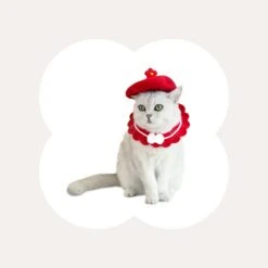 Stylish Floral Cat Beret